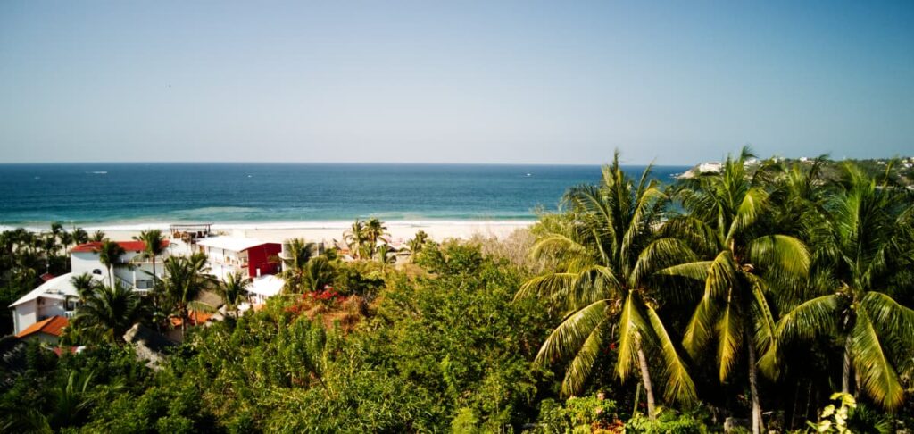 The open ocean view from Chester Jugos in Zicatela is framed by tall palm trees and the rooftops of several buildings.