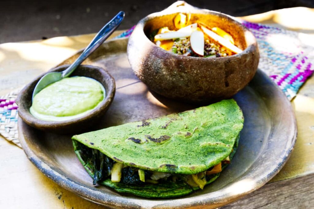 On a rustic clay plate, a homemade green tortilla is loaded with veggies and mushrooms. Behind is a side of guacamole and a side salad with apple slices.