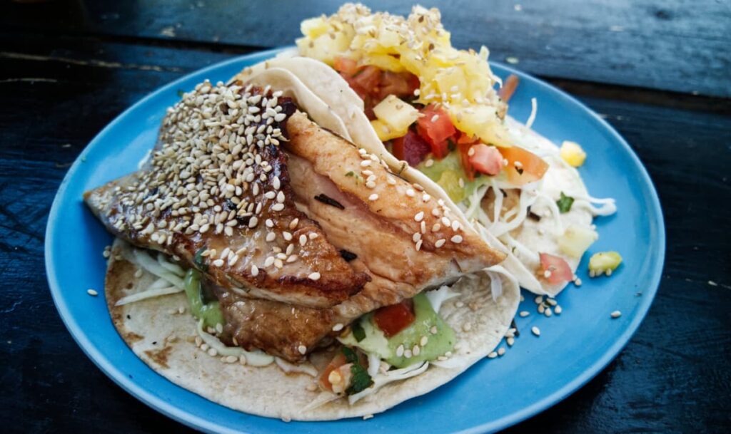 Two of Pepe's famous fish tacos line a blue plate. The prominent one features a large filet of fish on top of cabbage and topped with white sesame seeds. The other is topped with tropical pineapple slaw.