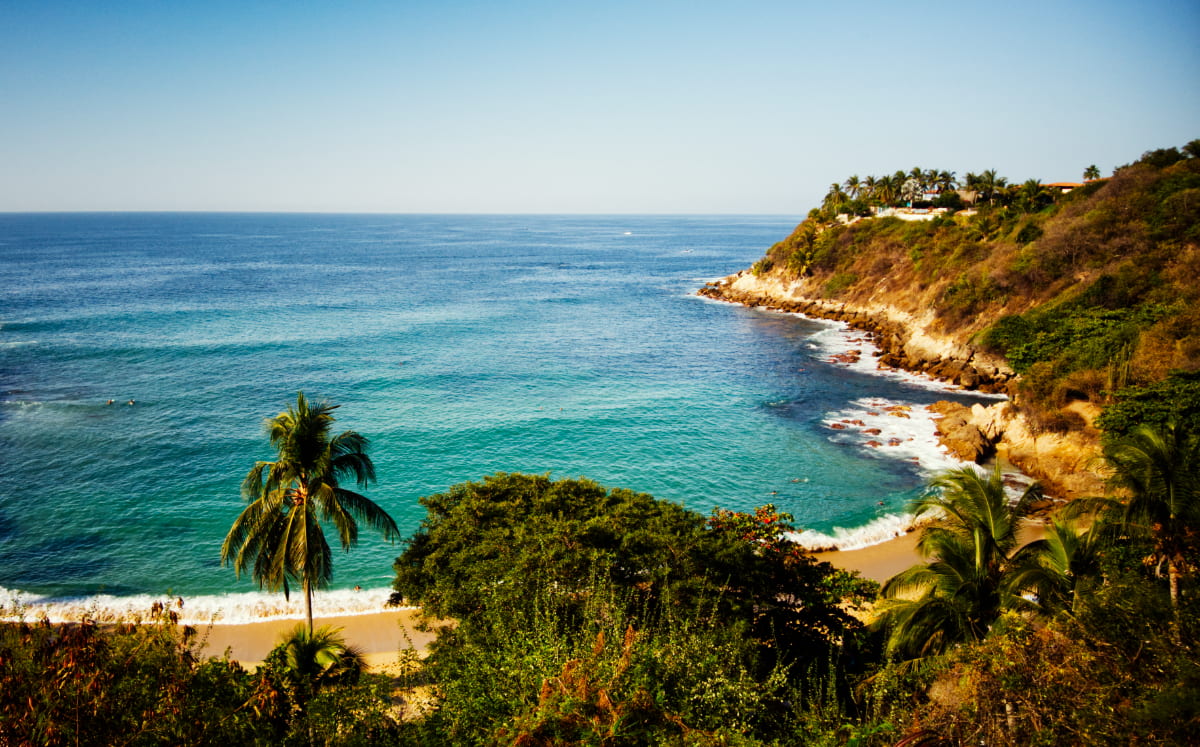An overview shot of Playa Carrazalillo, one of several Puerto Escondido beaches. Golden sand, turquoise waters, tall palms, and a rocky cliff face make up the breathtaking scene.