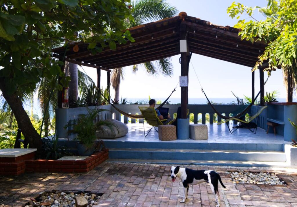 At this Puerto Escondido hostel, a traveler works from his laptop on a shaded platform with an ocean view. In front, a black and white dog stands, staring at the camera.