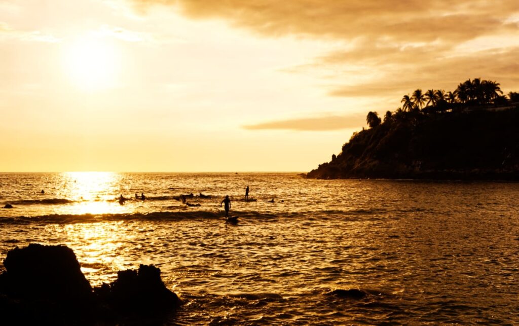 Under a golden hue from the sun, a surfer catches a wave. In the background are other surfers on their boards, a paddle boarder, and the cliffside dotted with palm trees.