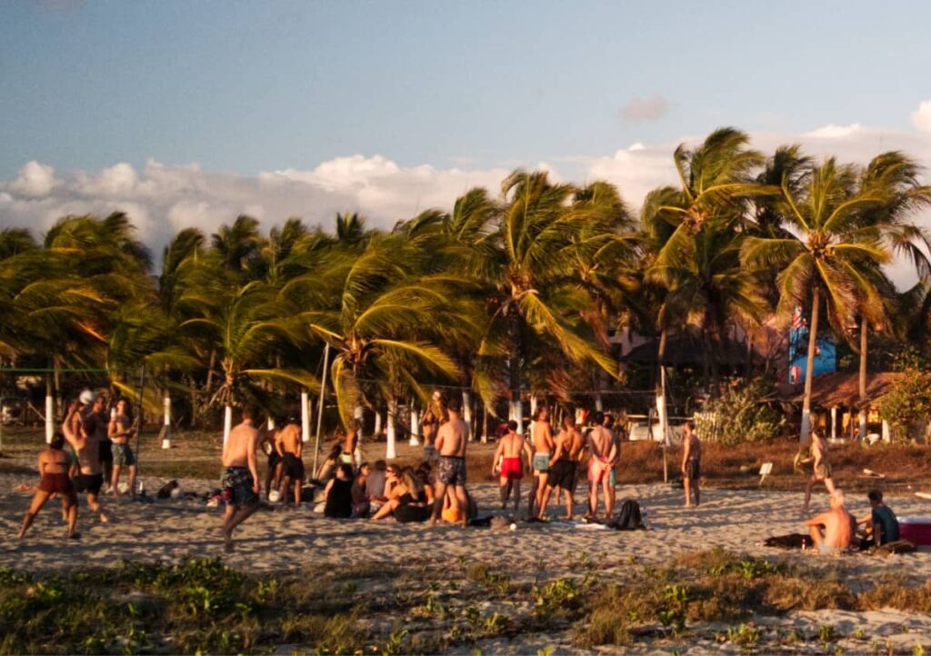 A large group of people play volleyball among two courts set in the sand. Behind them are a large grove of palm trees blowing in the wind.
