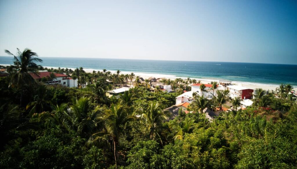 A high view of Zicatela Beach, Puerto Escondido. Tall palms and dense tropical plants surround the houses leading to Playa Zicatela, a long sandy beach in Puerto Escondido.