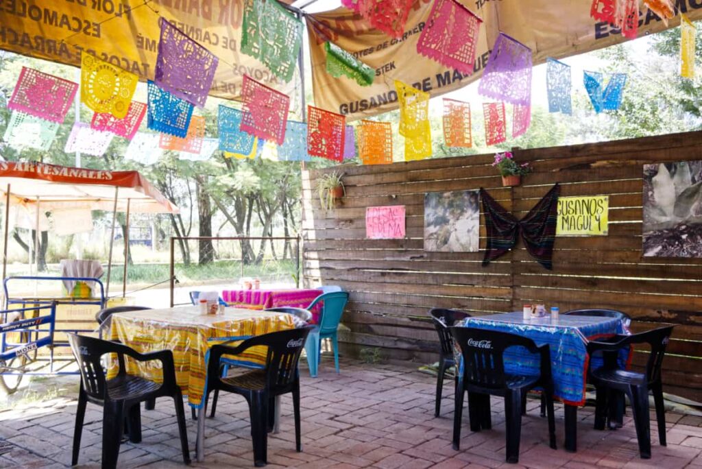 Colorful decorative flags and bright table cloths adorn the outdoor space at a restaurant for Barbacoa in Oaxaca.