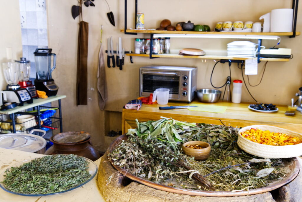 A large plate of herbs sits on the counter of the open kitchen at Coquina Hua Xha, one of the best places to eat in Oaxaca