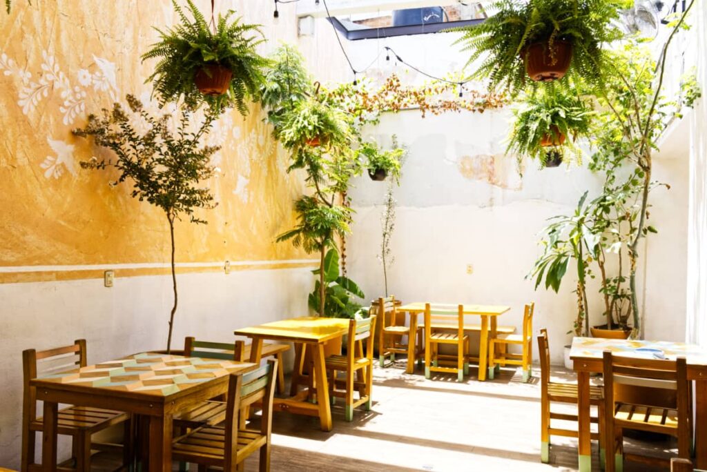 At one of the best restaurants in Oaxaca, sunlight illuminates the patio and plants.