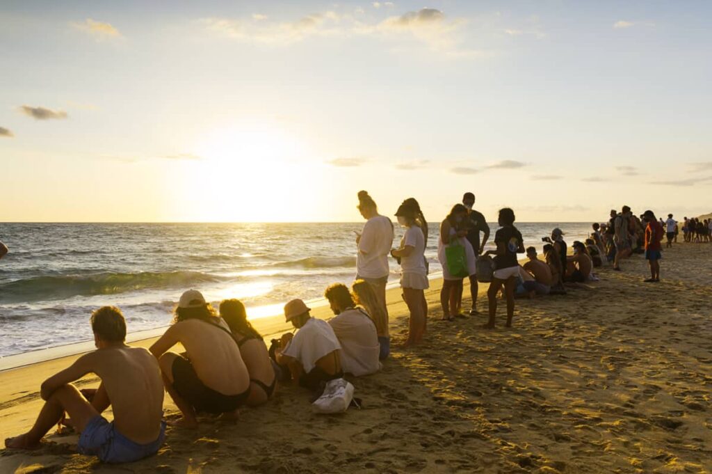People line up on the sand in front of the ocean, waiting for the Puerto Escondido sea turtle release. Some people sit and others stand while the sun sets over the ocean.