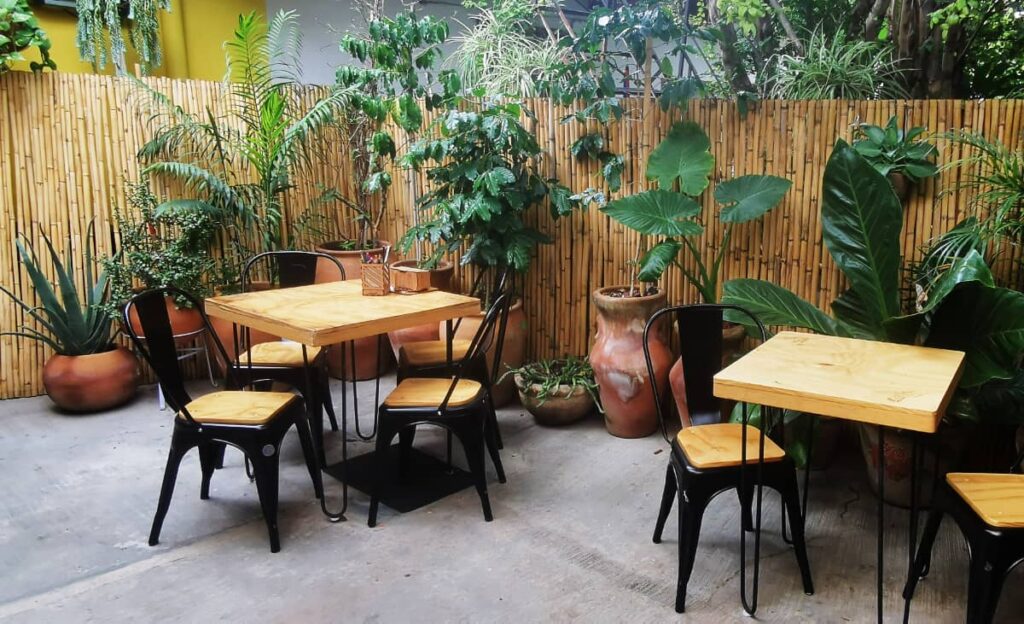 On the back patio at Gudelia Cafe, Oaxaca are light wood tables with black and wooden chairs. Along the natural fence are lots of tropical plants in pots.
