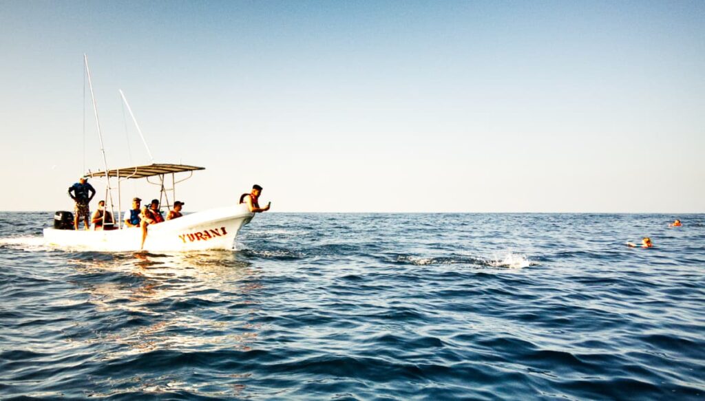 A man leans over the bow of a boat to take a picture with his cell phone on a whale and dolphin tour. The small boat is full of people and two others swim with life jackets in the ocean.