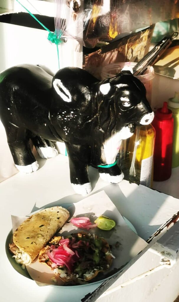 At the El Llano taco stand, a plate of one tasajo taco and one tasajo tostada sits in front of a black and white cow bank that is used to collect tips. The taco and the tostada are both topped with veggies.