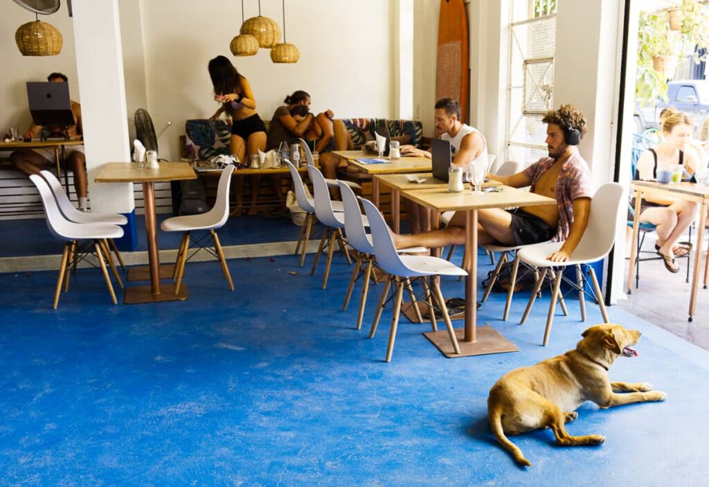 Remote workers work online at Amarisa Cafe, a bakery and coworking space in La Punta, Puerto Escondido. A dog lays on the turquoise concrete floor in the foreground while looking out the entrance.