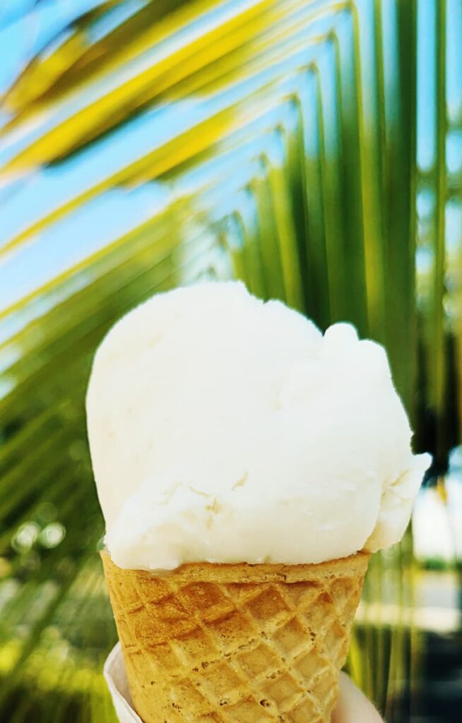 A single scoop cone of coconut ice cream with a green palm fond blurred in the background.