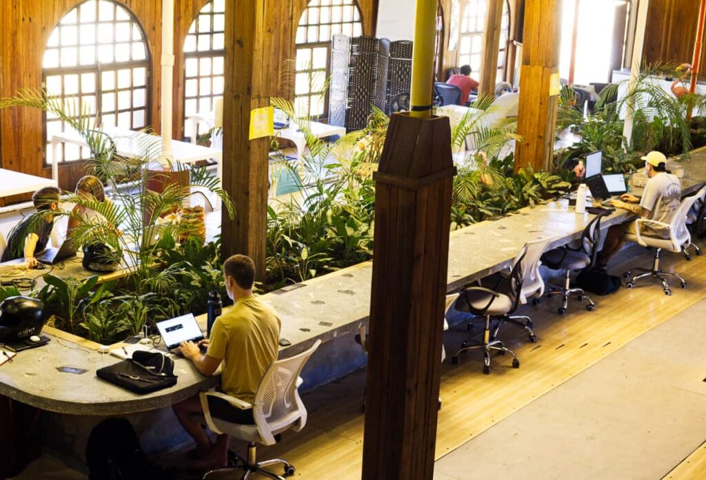 Digital nomads work from office chairs, sitting at the long workspace in the center of Pauline Creative Hub, one of the best coworking spaces in Puerto Escondido. Tropical plants decorate the space in between the workspaces.