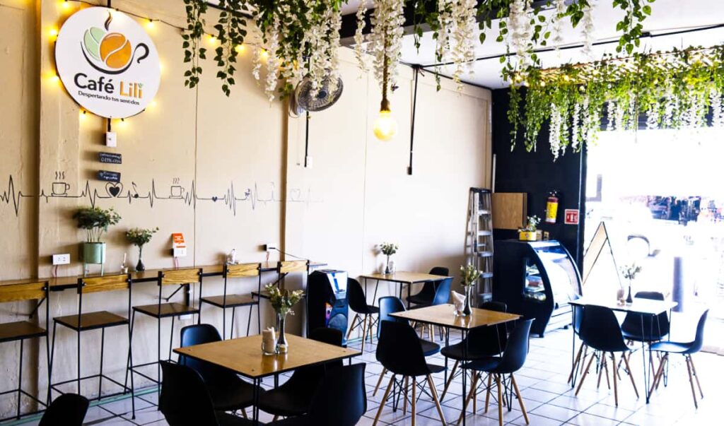 Tables and chairs fill the main area at this Puerto Escondido coworking cafe in centro. Decorative plants hang from the ceiling and the far wall has a long workspace with bar stools.