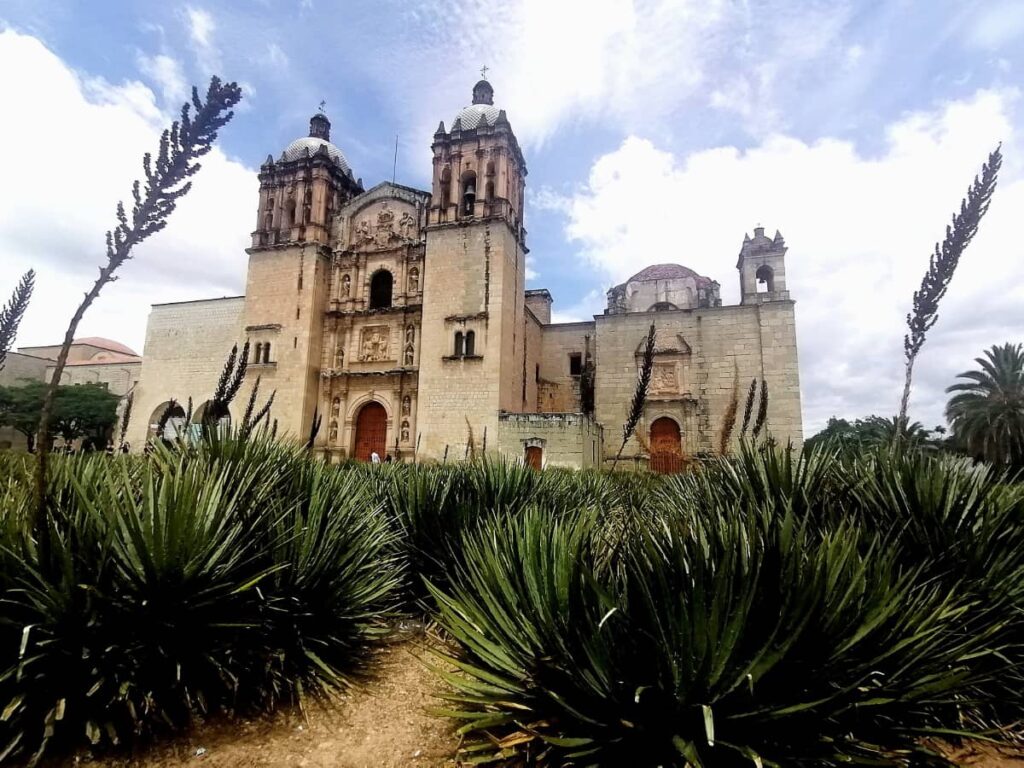 The light stone building of Santo Domingo Church, one of the best things to do in Oaxaca City, is framed between green agave plants with long flower spikes.
