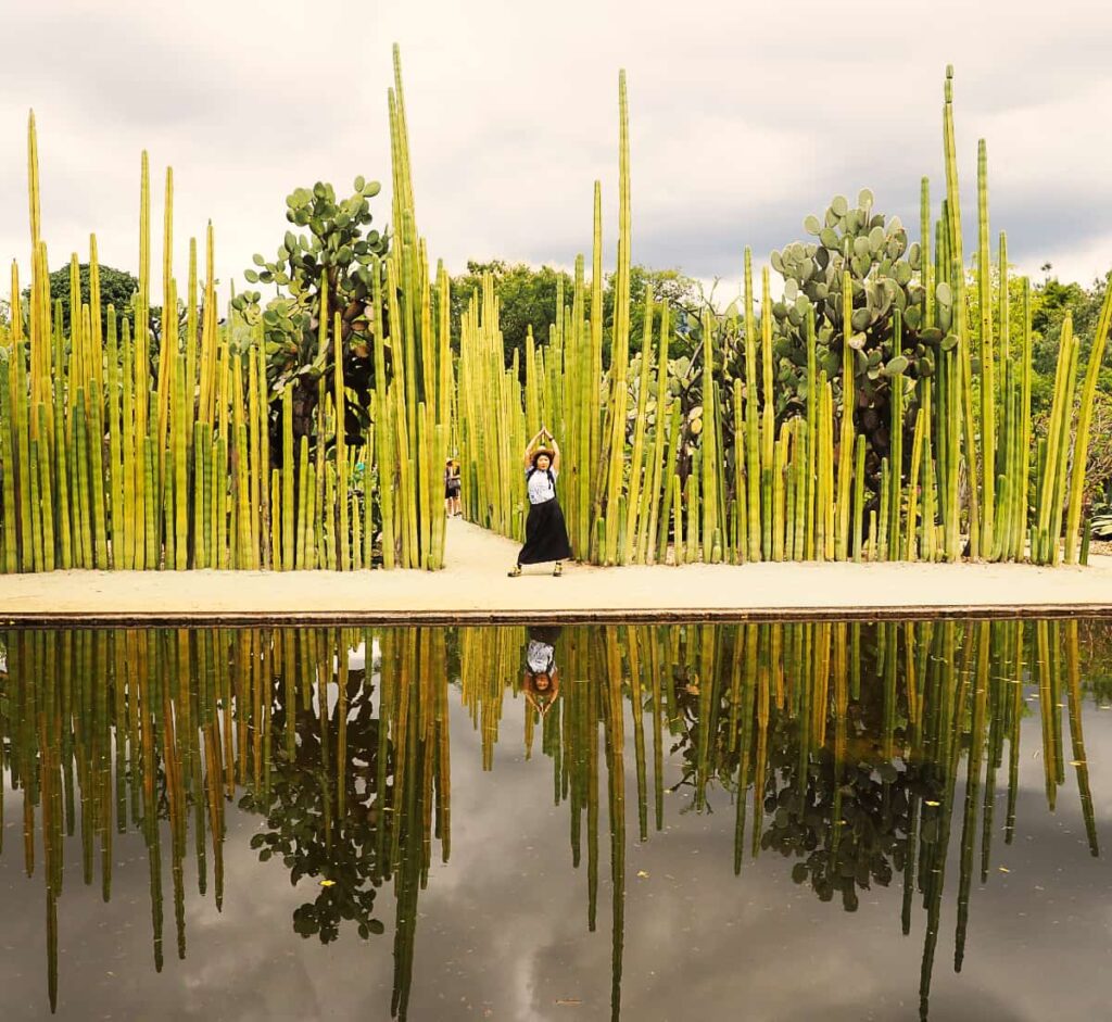 A woman poses in front of the tall cactus at the Oaxaca botanical garden, included in what to do in Oaxaca. In front of her is a reflection pool.