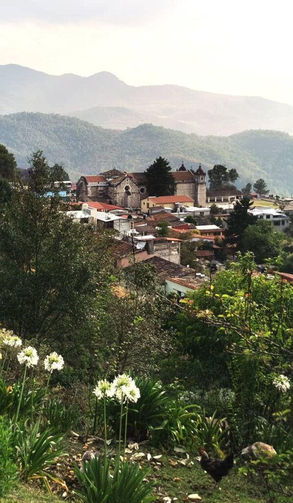 A distanced view of the Capulalapm Church in the Sierra Norte with mountains in the background and flowers in the foreground.