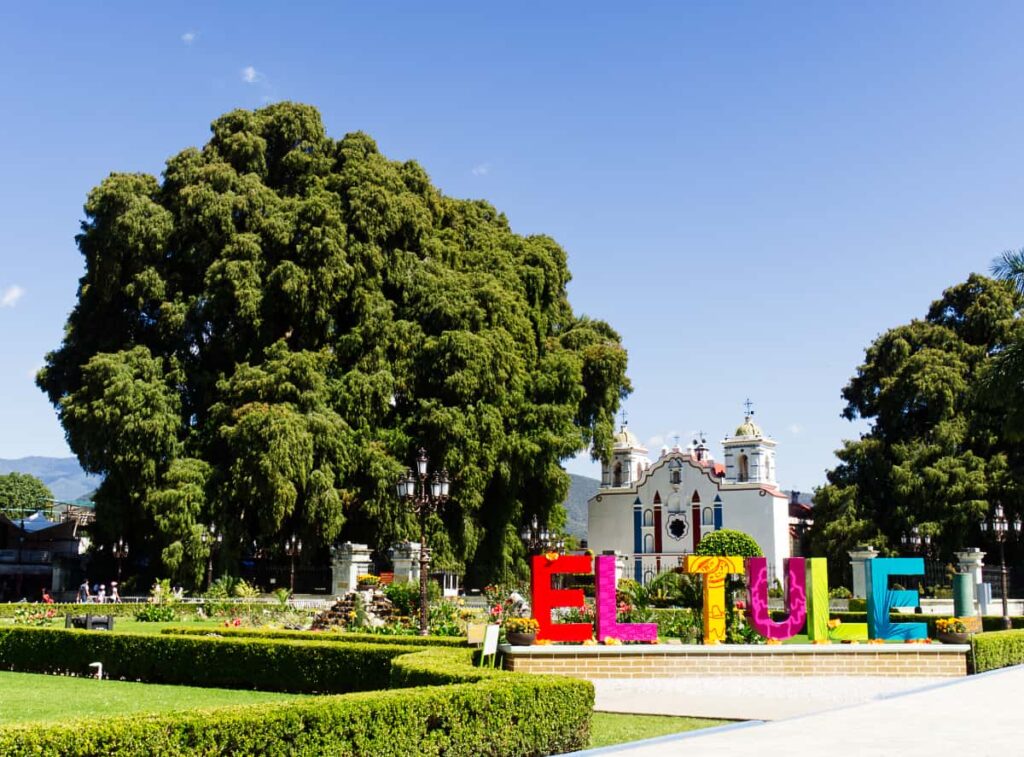 A large Montezuma Cypress tree grows in front of the Church in El Tule, one of the best things to do near Oaxaca. In the foreground are the colorful letters "El Tule."