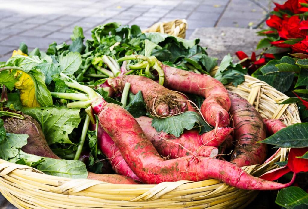 At the Night of Radishes, a basket of long red radishes with green tops sits in a woven basket on the ground of the Zocalo in Oaxaca City, Mexico. A red poinsetta is in the background, one of the many signs of December in Oaxaca.