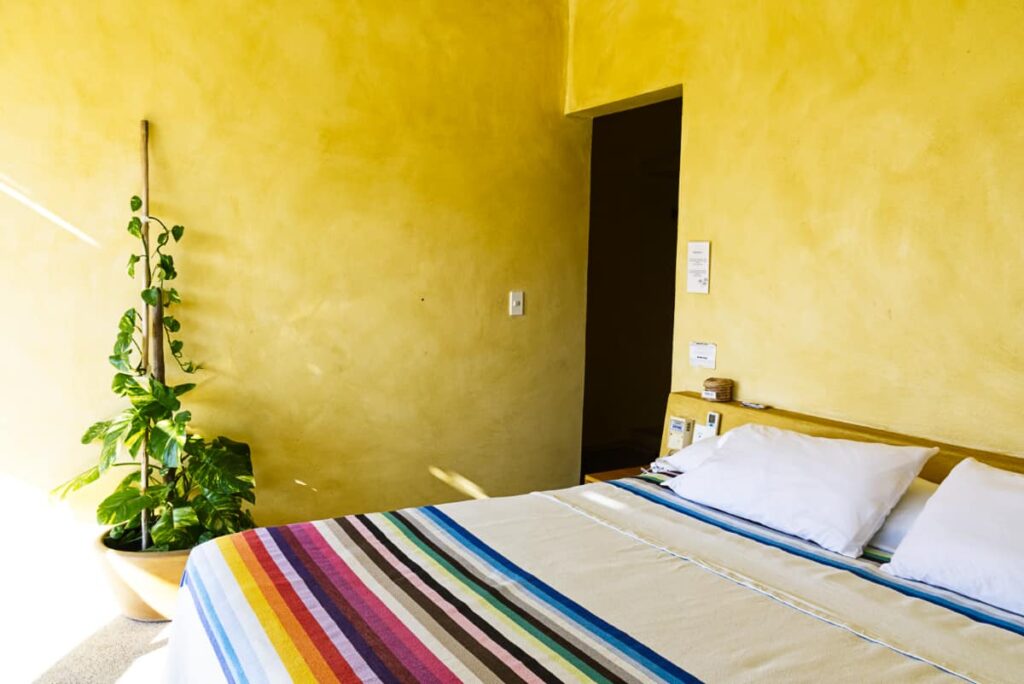 This private room at Bonobo shows a large bed with a white and colorful striped bedspread. A tropical plant sits in a pot along the yellow walls.