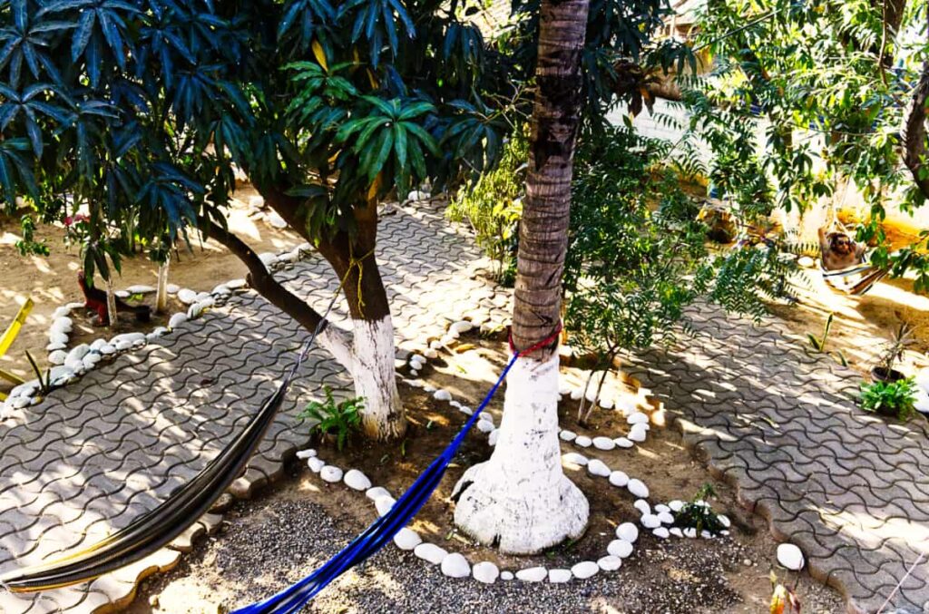 An overhead shot of the garden at El Mundito Colving shows two hammocks hung between trees in the foreground and a man lounging in a third hammock in the background.