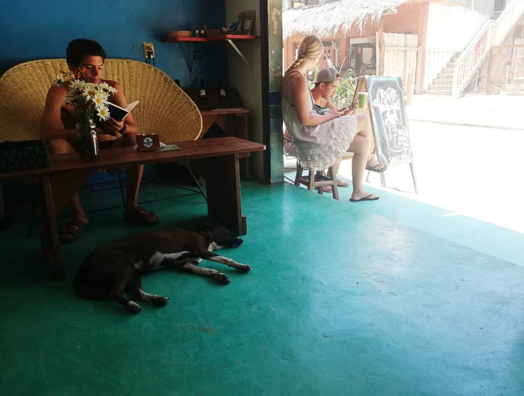 At Tiberon Juice Bar, a couple sits on stools outside while another customer reads a book at a table inside. A black dog lays in front of the table on the dark turquoise floor.