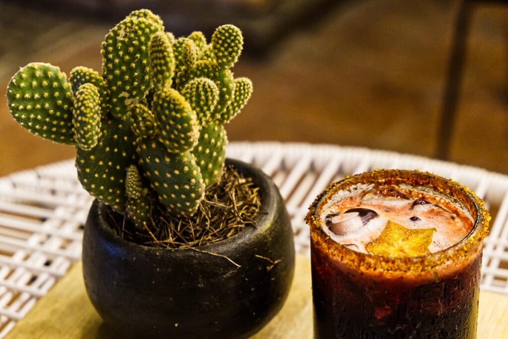 At Tribu Restaurant, a red colored cocktail garnished with a piece of starfruit sits in a glass rimmed with salt and chile. On the table next to the cocktail is a small cactus plant.