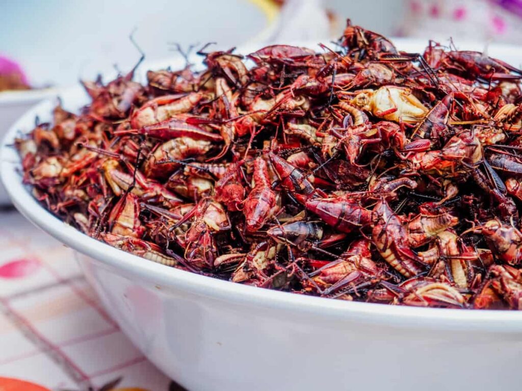 A bowl piled high with chapulines (grasshoppers), a traditional snack in Oaxaca.