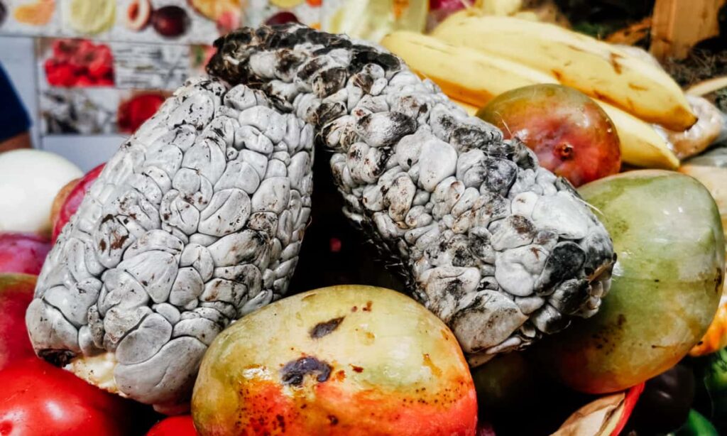 Two cobs of huitlacoche, a fungus that is a staple food in Oaxaca, sits on top of a basket of mangos at Sanchez Pascuas Market.