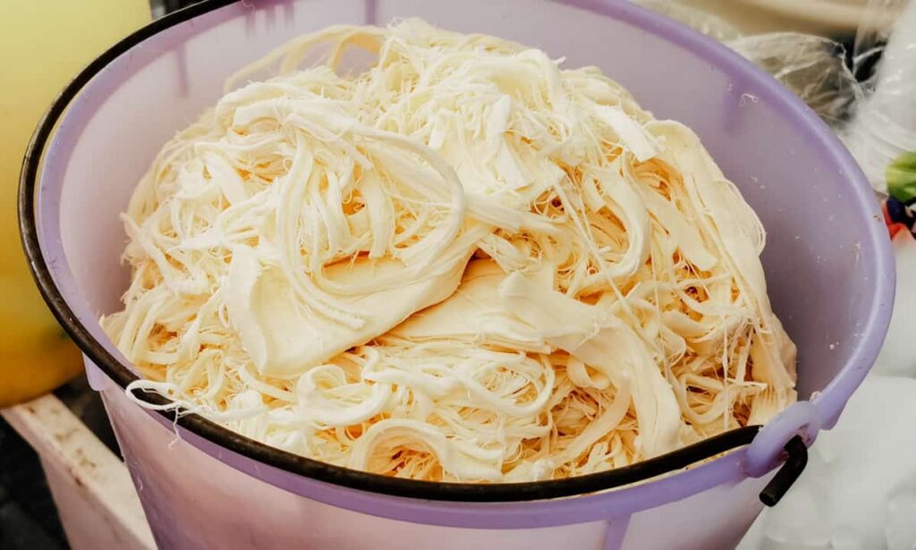 A plastic bucket full of shredded quesillo sits at a street food stand in Oaxaca. This white cheese is stringy like mozzarella.