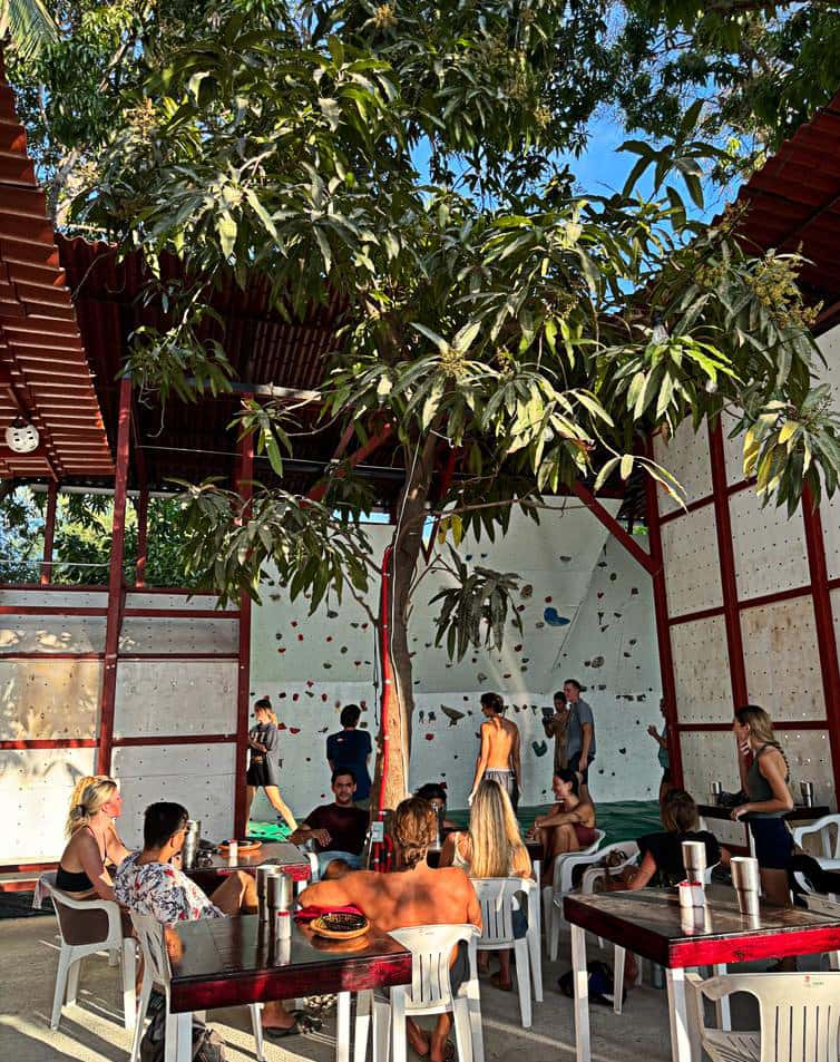 People sit at tables under the mango tree at this cafe and coworking in Puerto Escondido. In the background, several people are standing in front of the climbing wall.