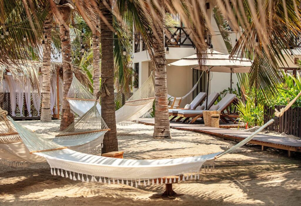 Hammocks hanging between palm trees at Casa Kuaa beachfront resort.