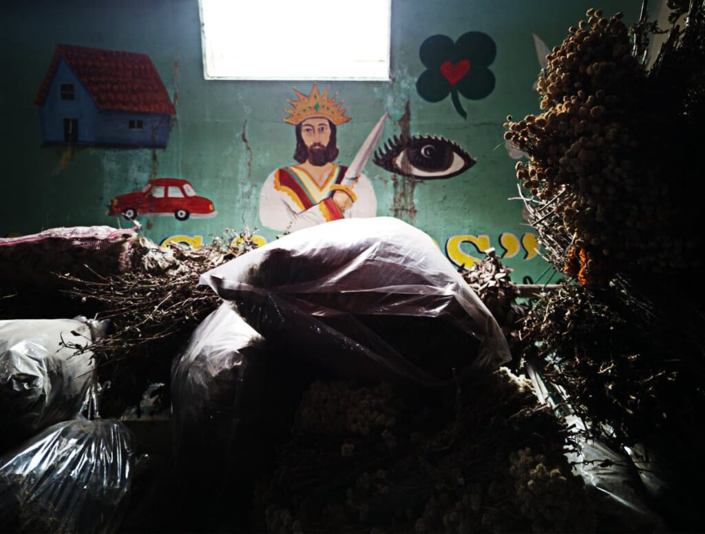 At the Central de Abastos Market in Oaxaca, a mural depicting a blue house with red roof, a red car, a Jesus figure holding a long knife and wearing a crown, an eye, and a four leaf clover with a heart in the center. The random mural is surrounded by bags of dried herbs.