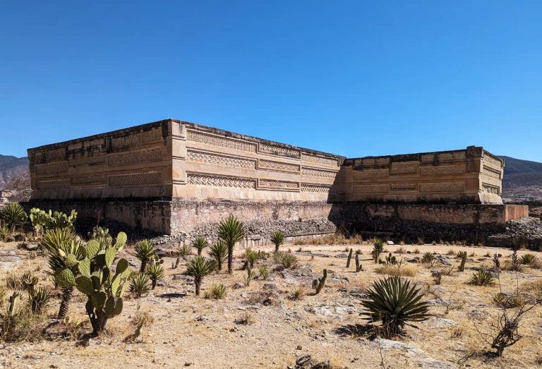 Two large stone buildings at the Mitla archeological site covered in horizontal bands of geometric fretwork, surrounded by cacti and agave in dry scrubland with mountains behind.