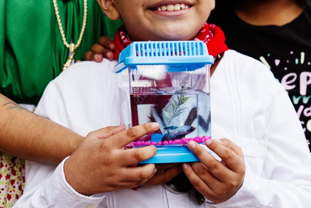 A young boy proudly holds up a fish in a small blue tank filled with water, pink rocks at the bottom, and a piece of plant material. Two people post behind him.
