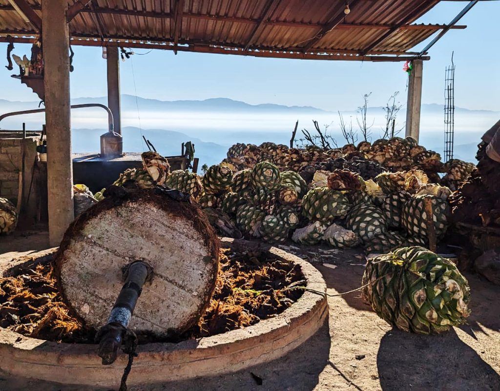 At a mezcal distillery, one thing Oaxaca is known for, a few dozen agave hearts, called piñas are piled up next to a copper still and behind a large stone wheel grinder. In the background, light misty clouds hang among the mountains.