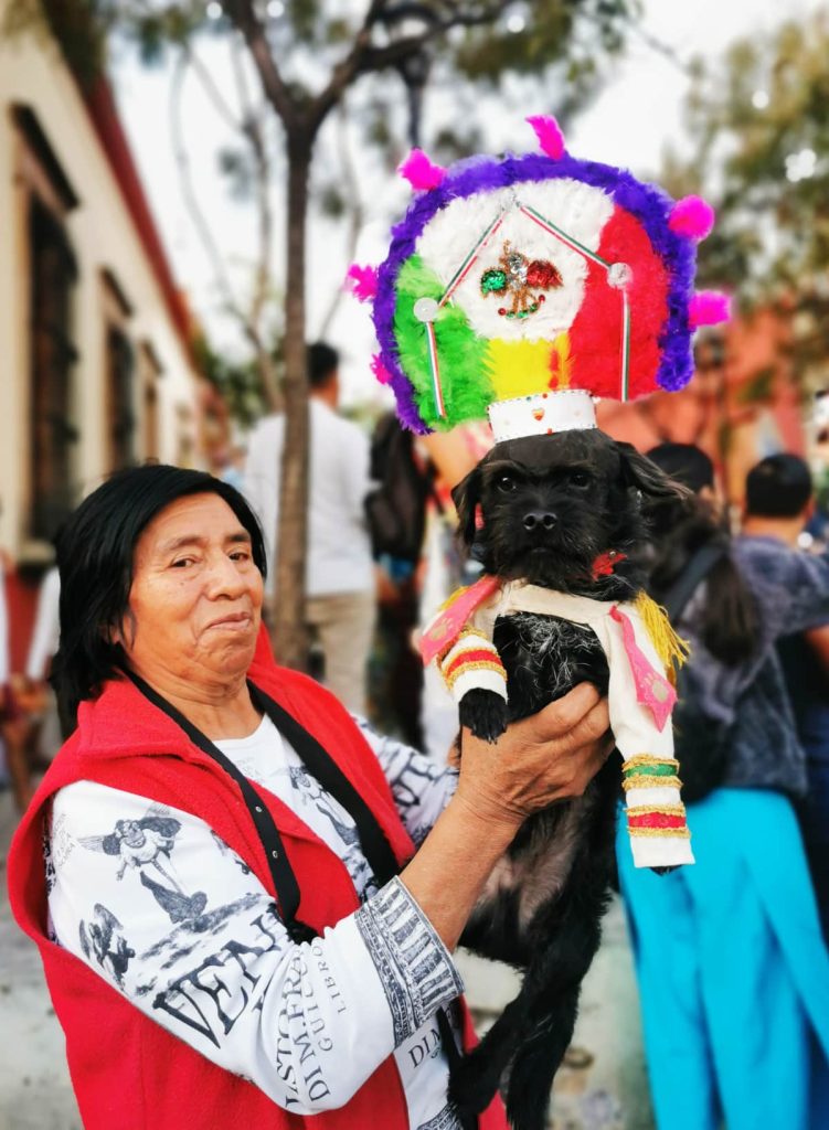 A woman holds up her small black dog wearing a small shirt and a feather headdress from La Danza de la Pluma, a common figure at the calendas in Oaxaca Mexico.